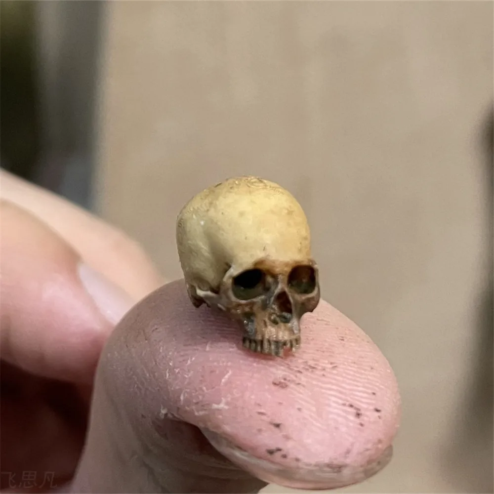 Mini Skull High Quality Miniat - Resin Art Tree ulasan dan harga
